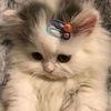 _cutieee
