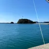 bbcckk8080