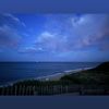 bridget_20247