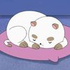 puppycat001