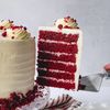 retvelvet33