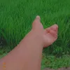 imberting0