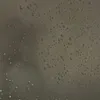 p02011101