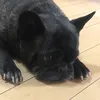 mmkjnojjjjyuyuuiui5