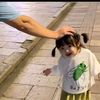 inisiallpd