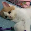 admin_fiscostore