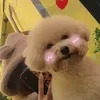 daoyenmy