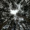 amis_0529