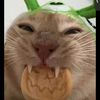 m_camryn512