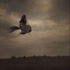 windyritual