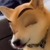 the1n0nlym