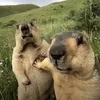 smyd_