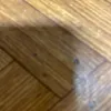 alisandanaa