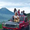 andienanggy