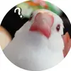 tayuita71