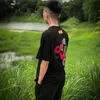 vietthaiss