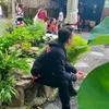 giau113114