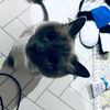 herlo00