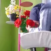 163678013