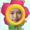 dailypuchi