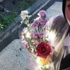 harley_inhawaii