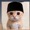 arsih1809