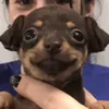 malisa_gg