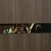 roussianroulette99