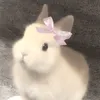 Góc Thỏ Rì Viu