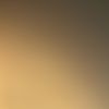 fghfgv45