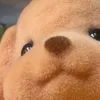 axxxa_m