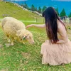 psjy20