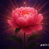 rareitems24