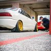 honda_boi4