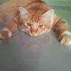 erli_022