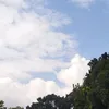 kresstikrab