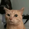 xcaromox
