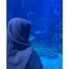 ini.beby
