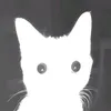 vnsntr06