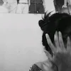 veyfeti__