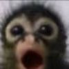 bxby_alpha