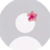 gcsy_971