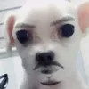 terakopista