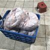 tryaniv_