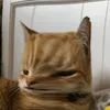 miajacksonnn