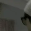 lizzaaa.th