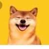 fat_shiba_
