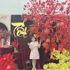 lelinh071993