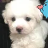 yeubunbohue_