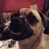 dakota_diaries